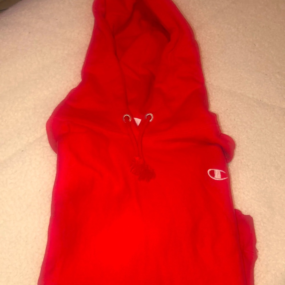 ❤️CHAMPION HOODIE